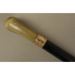 A LATE VICTORIAN GENTLEMAN'S TAPERED EBONISED MAHOGANY WALKING STICK, rounded horn pommel,