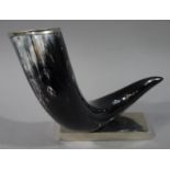 A mounted cow horn on rectangular white metal base,