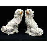 A Pair Of Staffordshire Pottery, White Seated Dogs