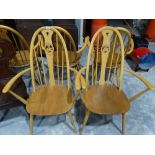 6 Matching Ercol Elm and Beech Swan Backed Carver Chairs