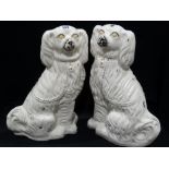 A Pair of Staffordshire Pottery White Seated Dogs 15 Inches High