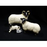 A Family Of Three Coopercraft Pottery Sheep