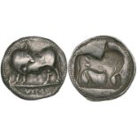 Lucania, Sybaris, stater, c. 520 BC, bull standing left looking back; below, ΥΜ, rev., the same type