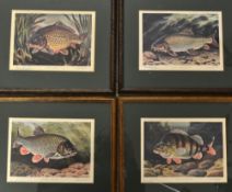 Bernard Venables hand signed fishing prints (8): published 1962 by Angling Prints each hand in ink