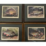 Bernard Venables hand signed fishing prints (8): published 1962 by Angling Prints each hand in ink
