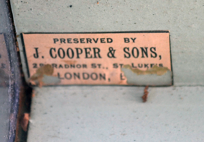 J Cooper & Sons preserved Roach in bow front glass case: white plaque to the top right hand corner - Image 2 of 4