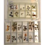 Flies: 4x large clear plastic boxes containing several hundred unused trout dry flies and nymphs