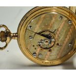 Illinois Pocket Watch 1880 - serial No. 142559, Grade 2, run: 500, 11 jewels, running, appears in