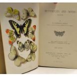 Butterflies and Moths 1897 by W. Furneaux, London: Longmans, Green and Co. bound in red cloth and