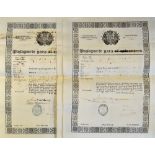 Spain - 1850s Spanish Passports - printed and completed by hand, all large format paper with