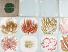 Fold Out Victorian Painted Marine Plants includes various paintings of plants, condition F/G