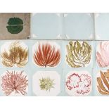 Fold Out Victorian Painted Marine Plants includes various paintings of plants, condition F/G