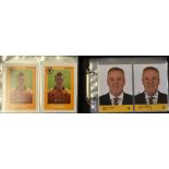 Collection of Wolverhampton Wanderers player portraits from season 2002/03 - 2015/16 superb