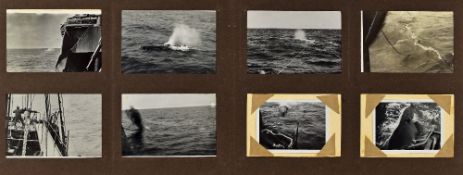 Selection of Scarce Whaling Photographs taken by James Callan whilst whaling off Iceland, the