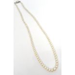 GRADUATED PEARL NECKLACE early 20th century, the largest pearl approximately 7mm diameter,