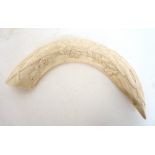 CARVED IVORY BOAR TUSK