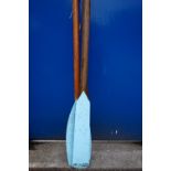 PAIR OF HICKORY SHAFT OARS with narrow Cambridge blue blades, 202cm long,