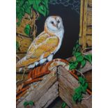 ED O'FARRELL Barn owl, acrylic on board, signed, also signed and dated 2006 to verso,