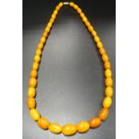 GRADUATED BUTTERSCOTH AMBER BEAD NECKLACE 58cm long and approximately and 29.