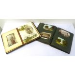 VICTORIAN SCOTTISH FAMILY PHOTOGRAPH ALBUM Glasgow Photographer Studios noted,