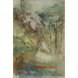 RICK LEWIS ARA CONTEMPORARY Doves Watercolour Signed lower right, artist label verso 14.5 x 9.