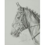 LIA LAIMBOCK, DUTCH, MODERN Hunter Pencil Signed 15.4 x 12.