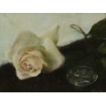 THOMAS RYAN, PPRHA, b.1929 White Rose Oil on canvas 5.5 x 7.