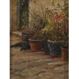 HENRY McGRANE MODERN Flowerpots Oil on board 9.4 x 7.75inches (23.5 x 18.