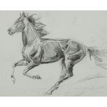 LIA LAIMBOCK, DUTCH MODERN Galloping Signed lower right Pencil and Charcoal 12.4 x 15.