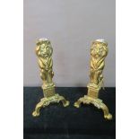 A PAIR OF BRASS FIRE DOGS,