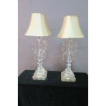 A PAIR OF CUT GLASS AND SILVER PLATED TABLE LAMPS, the central stem applied with diamond cut blocks,