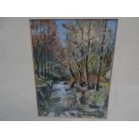 B Savage, Laxey Glen, Oil on board, Signed, 7 x 5 ins..
