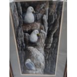 Dr Jeremy Paul, Kittiwakes, Gouache, Signed, 17 x 9 ins..