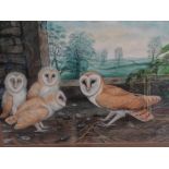 A W Sharp, Barn Owl and Youngsters, Watercolour, Signed and dated '84, 32 x 30 ins..