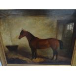 Bay horse in a stable in the stye of Herring Snr., Oil on canvas, 20 x 25 ins..