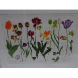 Elizabeth Blackadder, Tulips, Screen print, Signed, 35 x 32 ins..