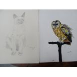 Steve and Peter S Bennett, Thirty-seven Ink, watercolour and pencil sketches, mostly of animals,