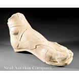 Monumental Plaster Model of a Roman Foot, 20th c., after the Antique, h. 17 1/2 in., w. 27 in., d. 9