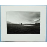 Fay Godwin, 1931-2005, 'Four Trees, Rannoch Moor '81', black and white photograph, signed and titled