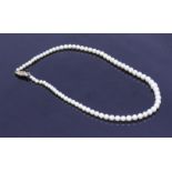 A single row of graduated cultured pearls, 4.0mm to 8.0mm, with 9ct gold garnet and seed pearl set