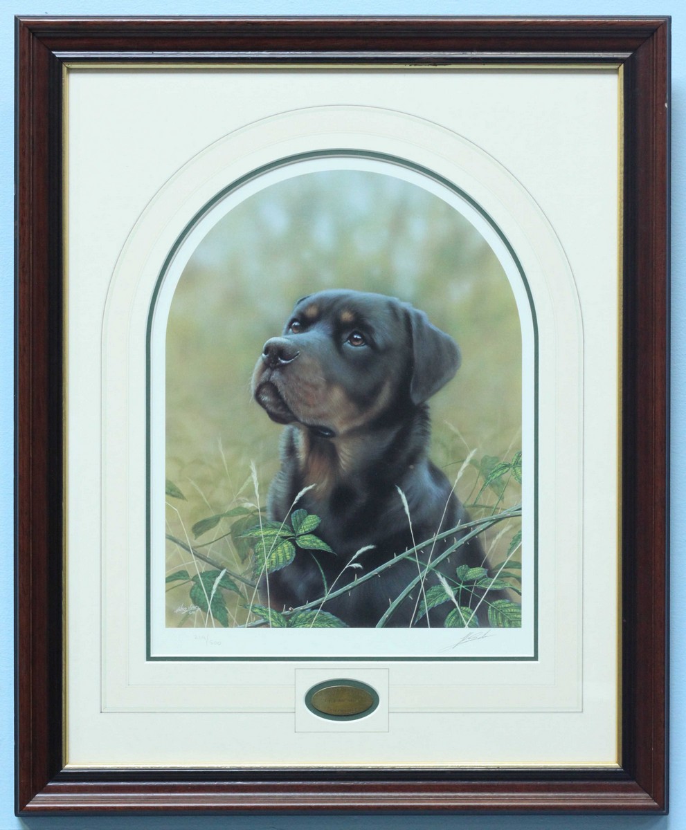 John Silver (20th century) 'Rottweiler' Signed, limited edition print number 219/500. Mounted,