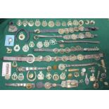 A good quantity of horse brasses, loose and attached to leather Martingales, including 1887 and 1935