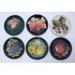 Six various Moorcroft pottery pin dishes decorated with stylized fruit patterns, all boxed (6)