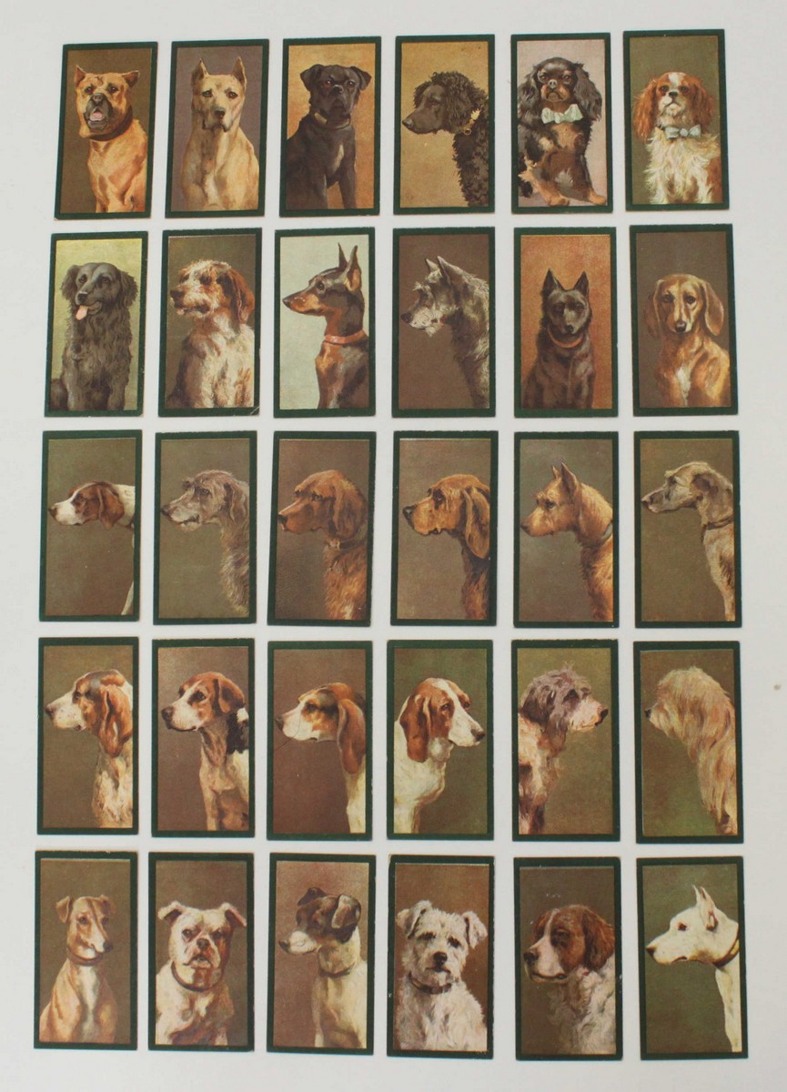 Thirty cigarette cards 'Dogs' A Series of 50 Copyright Designs From Original Paintings Issued Solely