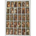 Thirty cigarette cards 'Dogs' A Series of 50 Copyright Designs From Original Paintings Issued Solely