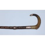 An early 20th century walking cane with horn handle and three 9ct gold mounts, together with tweleve