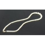 A single row graduated cultured pearl necklace with 9ct gold clasp. The pearls measuring 5.5mm to