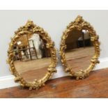 A pair of oval mirrors in scrolling, floral gilt frames. 66 x 50cm including frames