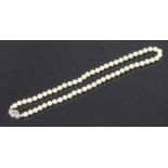 A single row of uniform cultured pearls, measuring 5.5mm, with 18ct gold clasp