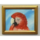 Jerome Patrick Connolly (20th century), portrait of a red Macaw parrot, signed, acrylic on board,